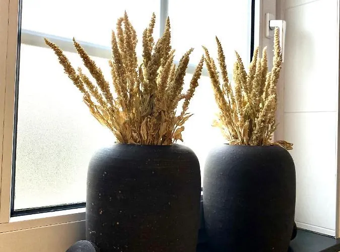 Appartamento Scheepers Valkenburg aan de Geul